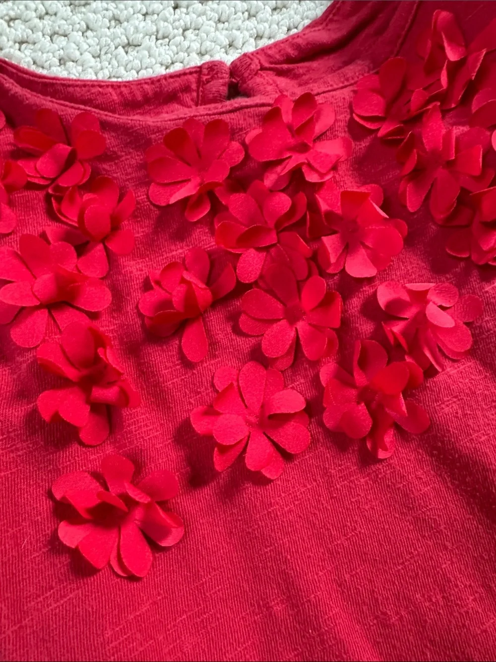 GAP Girls Red Floral Appliqué Knit Dress